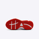 NIKE GIANNIS IMMORTALITY 4 SE (GS)