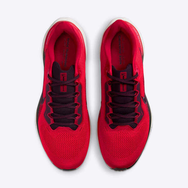 NIKE AIR ZOOM PEGASUS 41