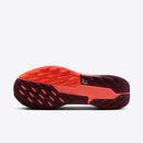 NIKE PEGASUS TRAIL 5 GTX