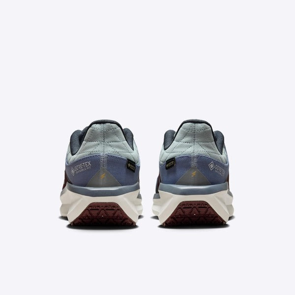 NIKE AIR WINFLO 11 GTX