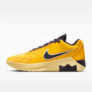 NIKE LEBRON WITNESS IX EP
