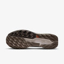 NIKE PEGASUS TRAIL 5 GTX