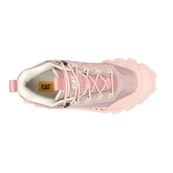 CAT INTRUDER MID WS