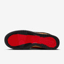 NIKE DUNK LOW GTX