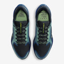 NIKE AIR ZM PEGASUS 41 GTX