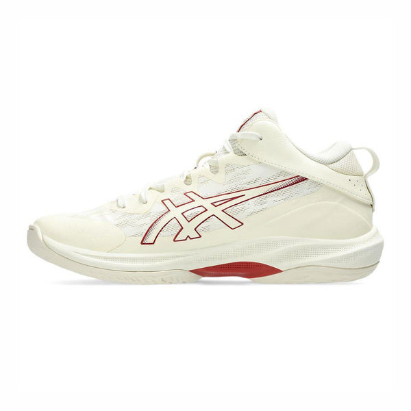 ASICS GELHOOP V17