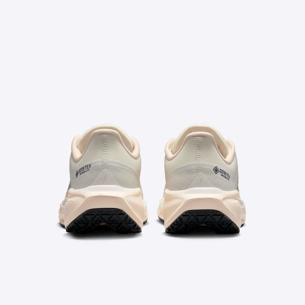 NIKE W AIR ZM PEGASUS 41 GTX