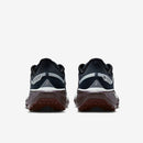 NIKE W AIR ZM PEGASUS 41 GTX