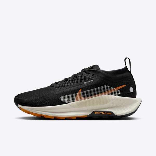 NIKE W PEGASUS TRAIL 5 GTX