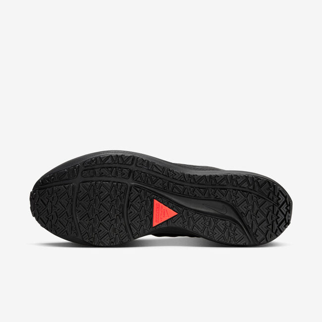 NIKE AIR ZOOM PEGASUS 39 SHIELD