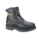 CAT HOLTON SB E FO HRO SRC